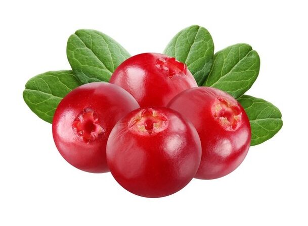 Cranberry – Zusammensetzung von Uromexil