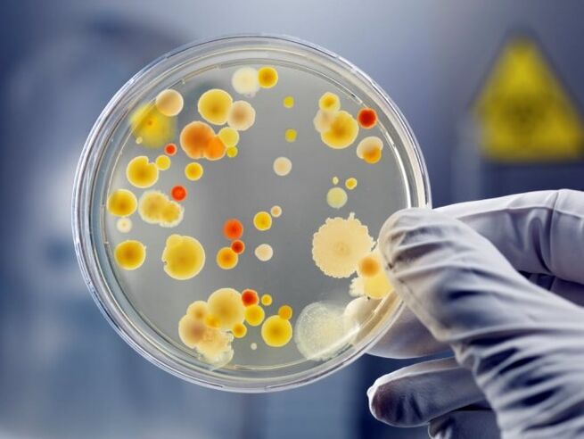 Unkontrollierter Einsatz von Antibiotika verursacht Pilzprostatitis